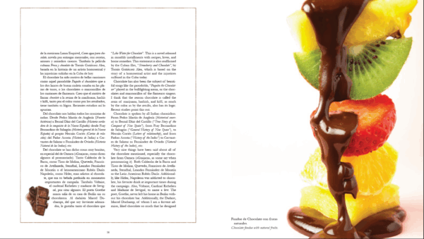 GUIA ESENCIAL DEL CHOCOLATE - Imagen 4