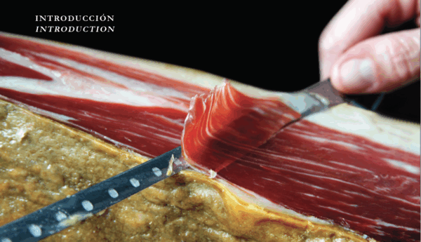 CUCHILLOS GUIA PARA COCINEROS GOURMET - Imagen 2