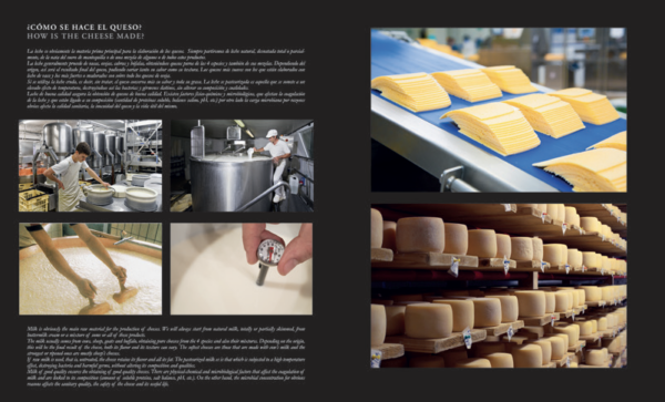GUIA ESENCIAL DEL QUESO - Imagen 7